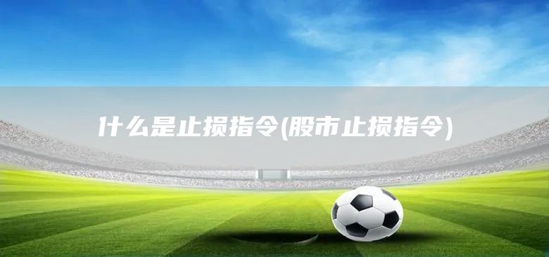 什么是止損指令(股市止損指令)(圖1) 什么是止損指令(股市止損指令)(圖1)